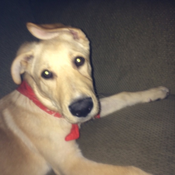 Meet your Posher, Eric - Picture 1 of 1